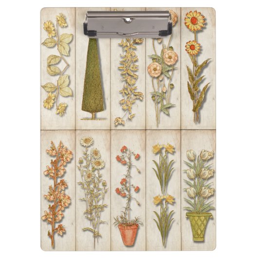 美しい園芸植物 クリップボード (正面)