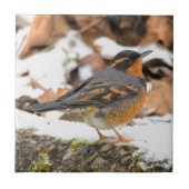 美しい変ツグミの雪原 タイル (正面)