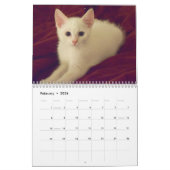 美しい変化の写真撮影のカレンダー2018年 カレンダー (2月 2026)