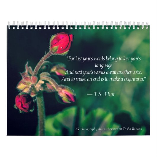 美しい変化の写真撮影のカレンダー2018年 カレンダー (カバー)