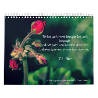 美しい変化の写真撮影のカレンダー2018年 カレンダー