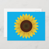 美しい夏のひまわり ポストカード (正面/裏面)