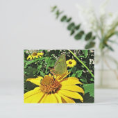 美しい夏のイメージの郵便はがき ポストカード (スタンド正面)