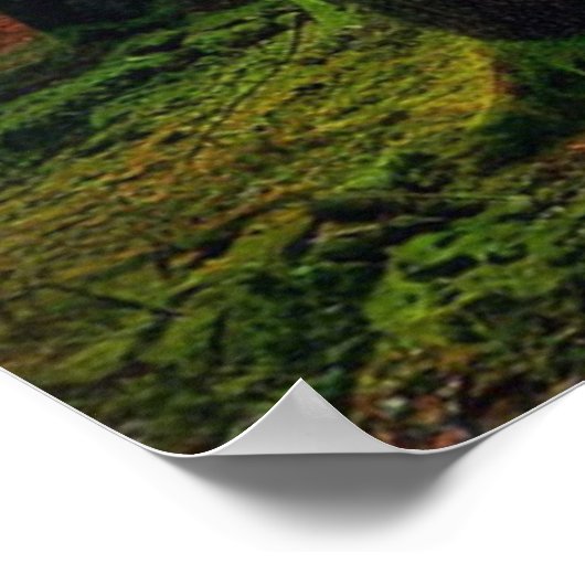 美しい夏の森の日の出の風景 ポスター (角)