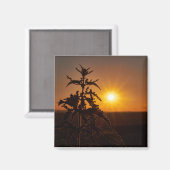 美しい夕日を持つ2インチスクエアマグネット マグネット (正面/裏面)