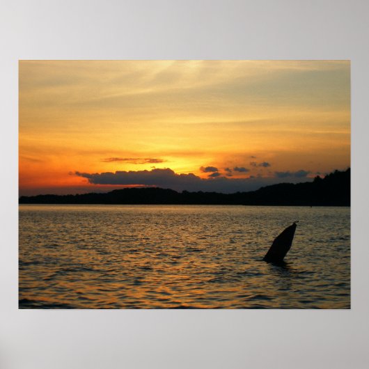 美しい夕日 ポスター (正面)