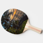 美しい夕焼け2 卓球ラケット (横)