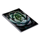 美しい多肉植物の花の自然写真 ノートブック (右側)