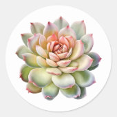 美しい多肉植物の花水色 ラウンドシール (正面)