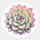 美しい多肉植物の花水色 ラウンドシール (正面)