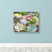 美しい多肉植物 キャンバスプリント (インサイチュ (ウッドフロア))