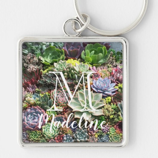 美しい多肉植物 キーホルダー (正面)