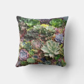 美しい多肉植物 クッション (裏面)