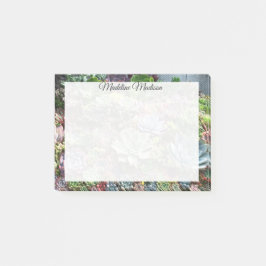 美しい多肉植物 ポストイット