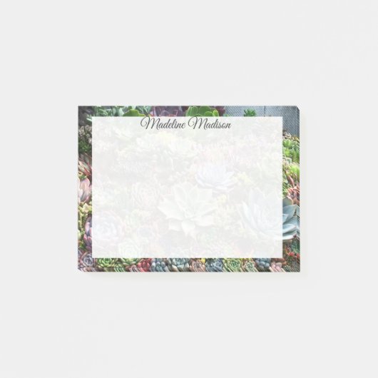 美しい多肉植物 ポストイット (正面)