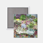 美しい多肉植物 マグネット (正面/裏面)