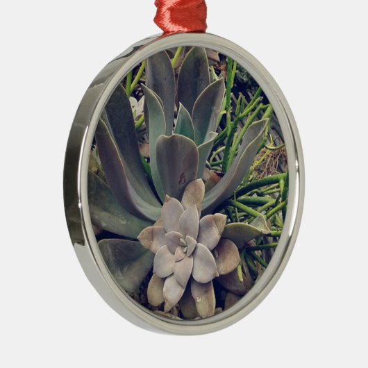 美しい多肉植物 メタルオーナメント (右)
