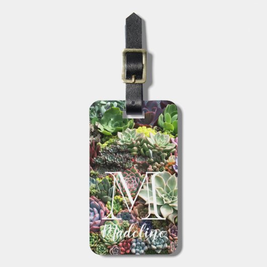 美しい多肉植物 ラゲッジタグ (正面縦)