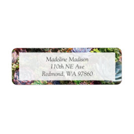 美しい多肉植物 ラベル