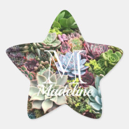 美しい多肉植物 星シール