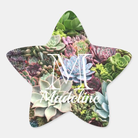 美しい多肉植物 星シール (正面)
