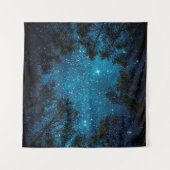 美しい夜空、天の川、木々。  タペストリー (正面(横))