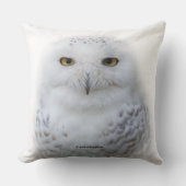 美しい夢と穏やかな雪ふくろう クッション (正面)