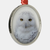 美しい夢と穏やかな雪ふくろう メタルオーナメント (右)