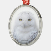 美しい夢と穏やかな雪ふくろう メタルオーナメント (左)