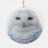 美しい夢と穏やかな雪ふくろう メタルオーナメント (裏面)