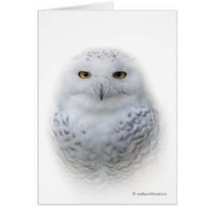 美しい夢のような穏やかな雪フクロウのグリーティングカード