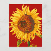 美しい大きなヒマワリ シーズンポストカード (正面)