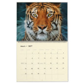 美しい大きな猫写真カレンダー カレンダー (3月 2027)