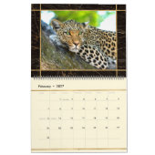 美しい大きな猫写真画像カレンダー カレンダー (2月 2027)