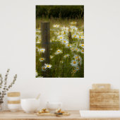 美しい大デイジーポスター/プリント ポスター (キッチン)