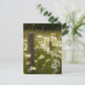 美しい大型デイジーはがき ポストカード (スタンド正面)