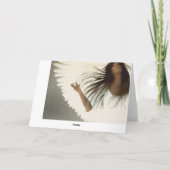 美しい天使の翼 – 気にs & Calm カード (裏面)