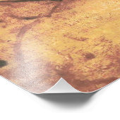 美しい女性byレオナルド・ダ・ヴィンチ フォトプリント            (角)