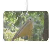 美しい好奇心のペリカンと車の空気フレッシュ カーエアーフレッシュナー (裏面)