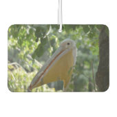 美しい好奇心のペリカンと車の空気フレッシュ カーエアーフレッシュナー (正面)