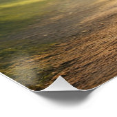 美しい妖精のポスタープリント ポスター (コーナー)