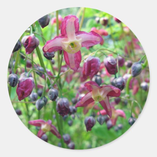 美しい妖精の翼の花と芽春写真 ラウンドシール (正面)