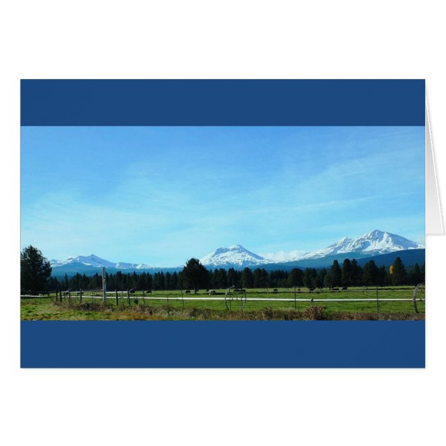 美しい姉妹よ！ (正面横)