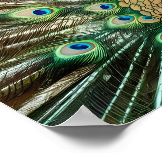 美しい威厳のある孔雀の写真を探索 ポスター (角)
