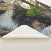 美しい威厳のある猫カラフル シェルパブランケット (3/4)