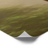 美しい威厳のある馬 ポスター (角)