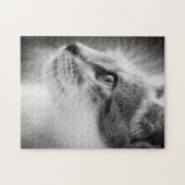 美しい子ネコのパズル ジグソーパズル (横)