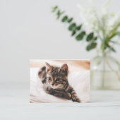 美しい子ネコの名刺 名刺 (スタンド正面)