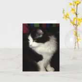 美しい子猫のメッセージカード カード (黄色い花)