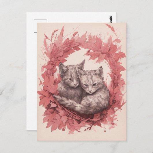 美しい子猫 ポストカード (正面/裏面)